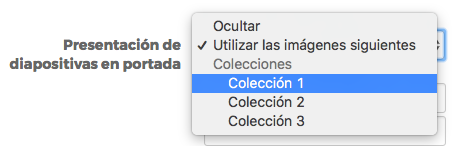 12._Configuracio_n_de_colecciones_como_diapositivas_en_portada.png